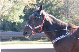 LR-WRF 10182025 Retreat-6368